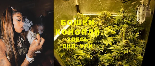 стафф Нефтегорск
