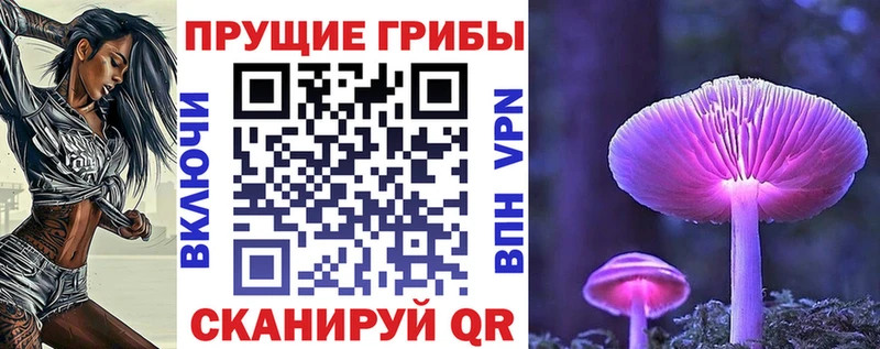 Галлюциногенные грибы Psilocybine cubensis Заволжье