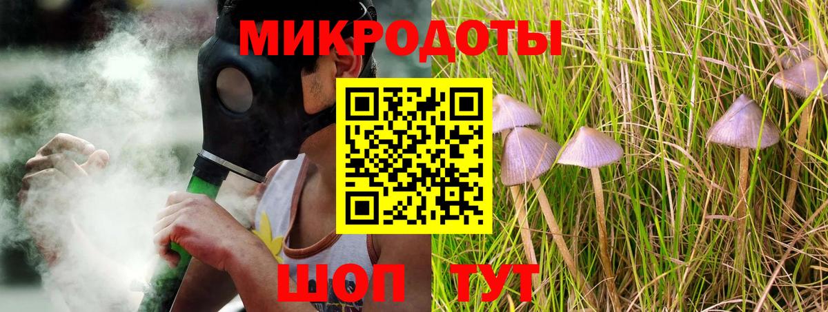Галлюциногенные грибы Cubensis Заволжье